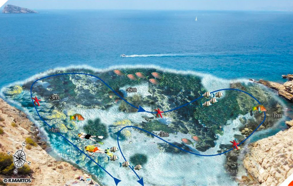 Explorando los fondos marinos de la cala