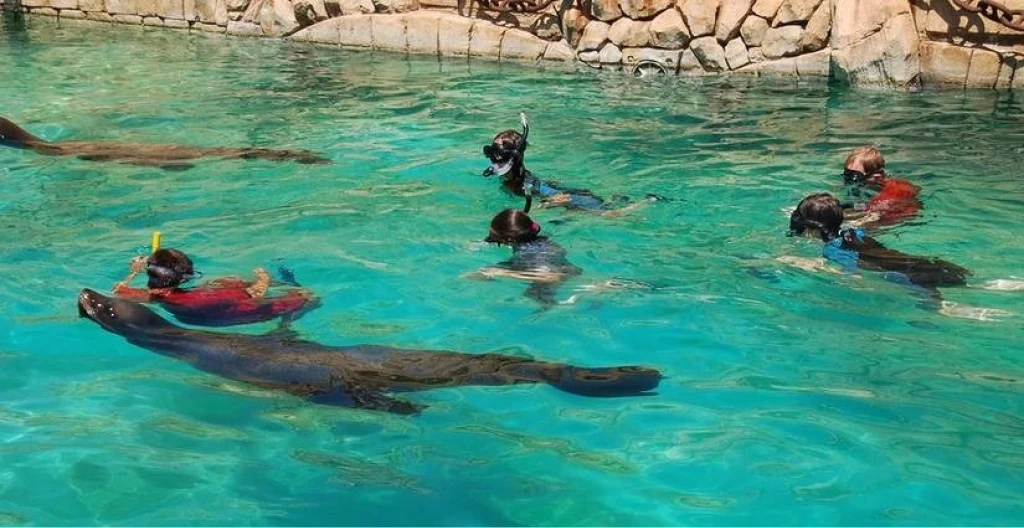 Experiencias que conectan con el agua