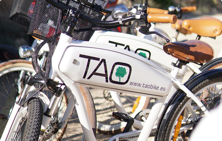 Alquiler de bicicletas para todos los niveles