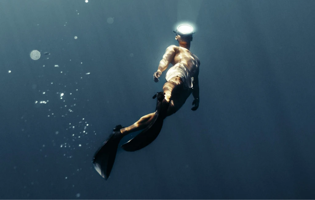 Explora el fondo del mar