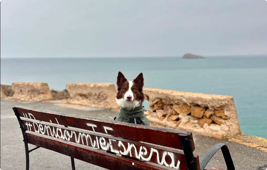 Benidorm en familia (y con tu mascota)
