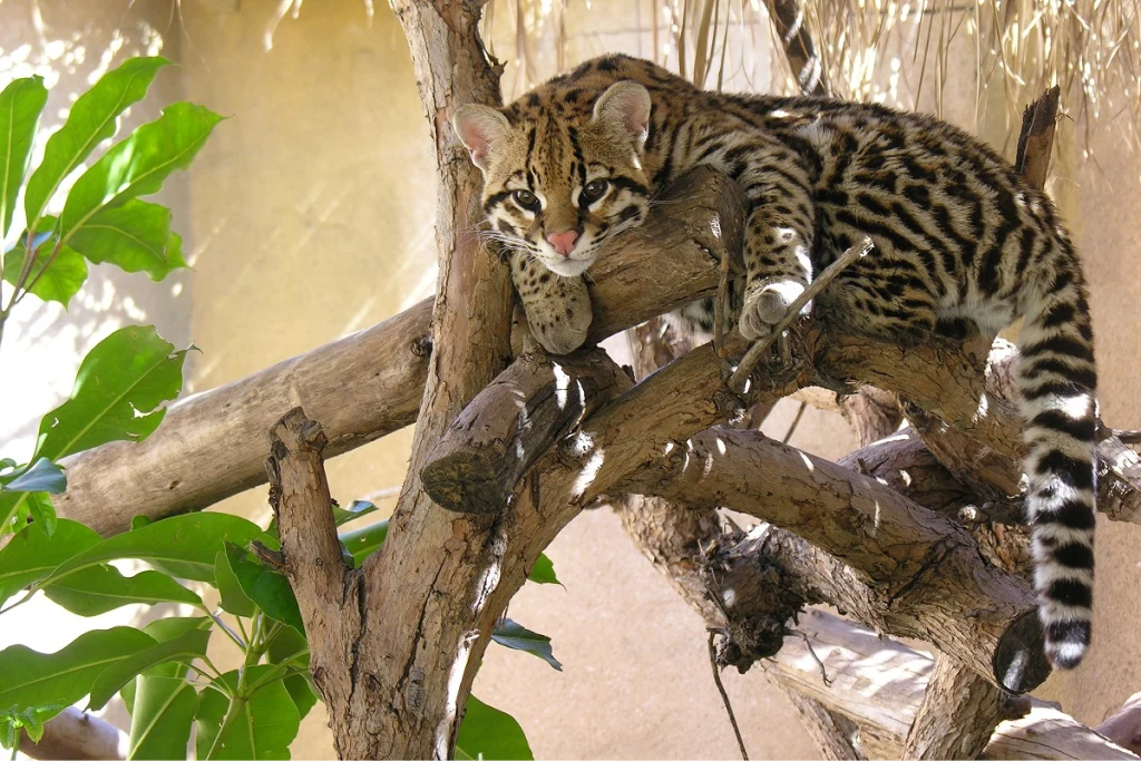 Terra Natura Benidorm