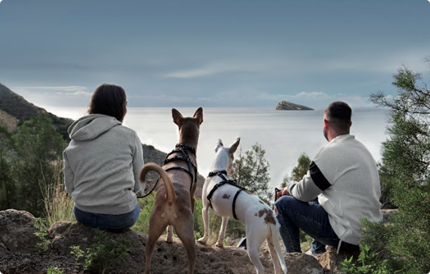 Lugares de interés para pasear con perro