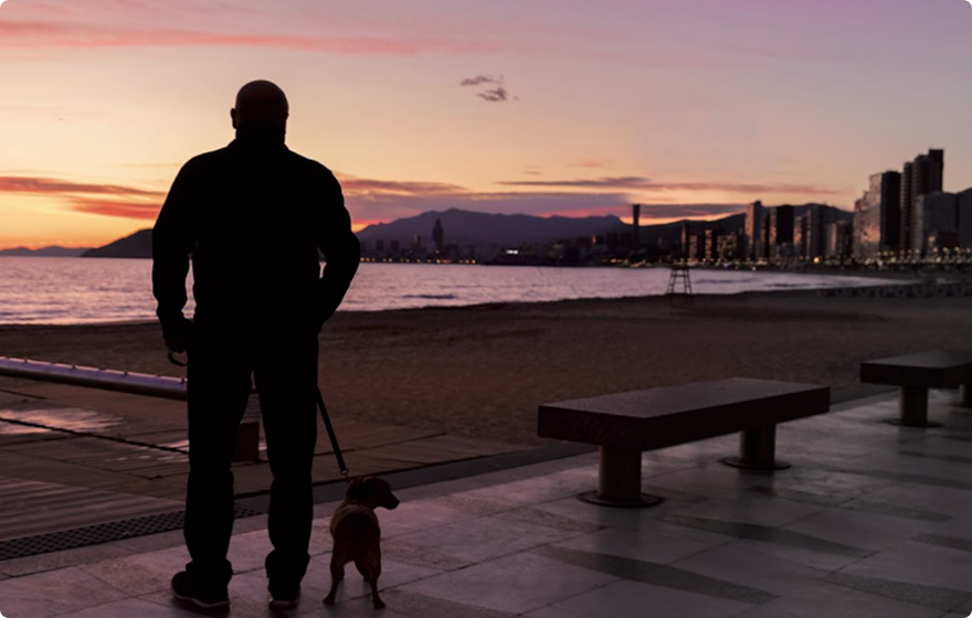 Centros Veterinarios en Benidorm