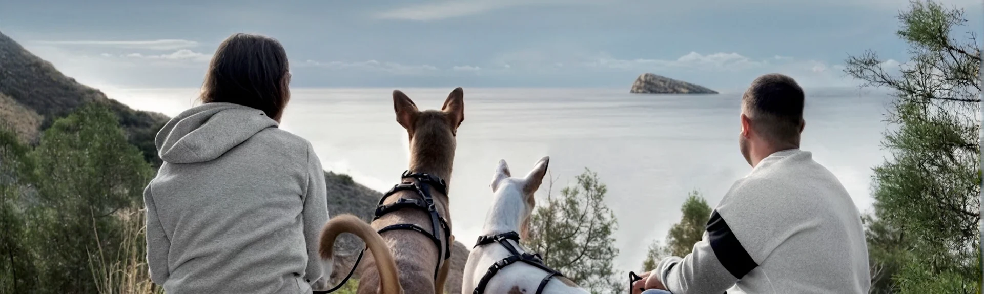 Benidorm con perro