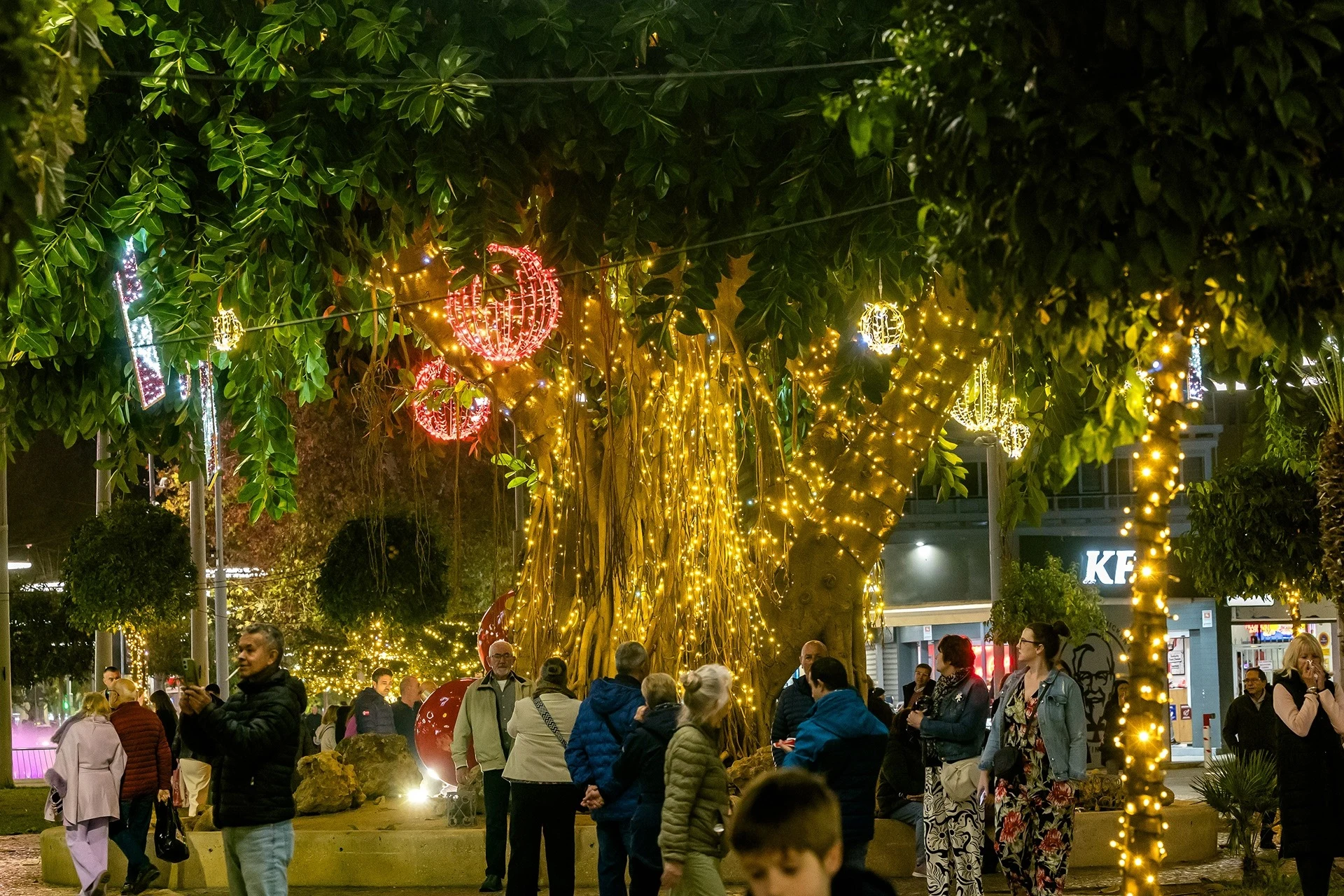 Imgi 8 Benidorm En Navidad 32 1 1 Lg
