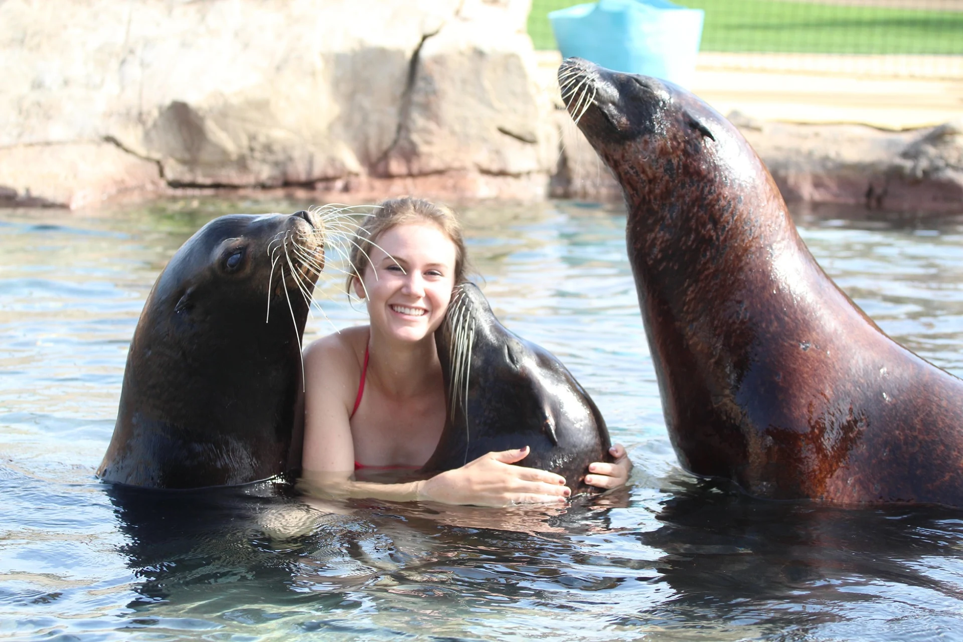 Terra Natura Benidorm