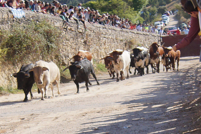 Encierros Campestres