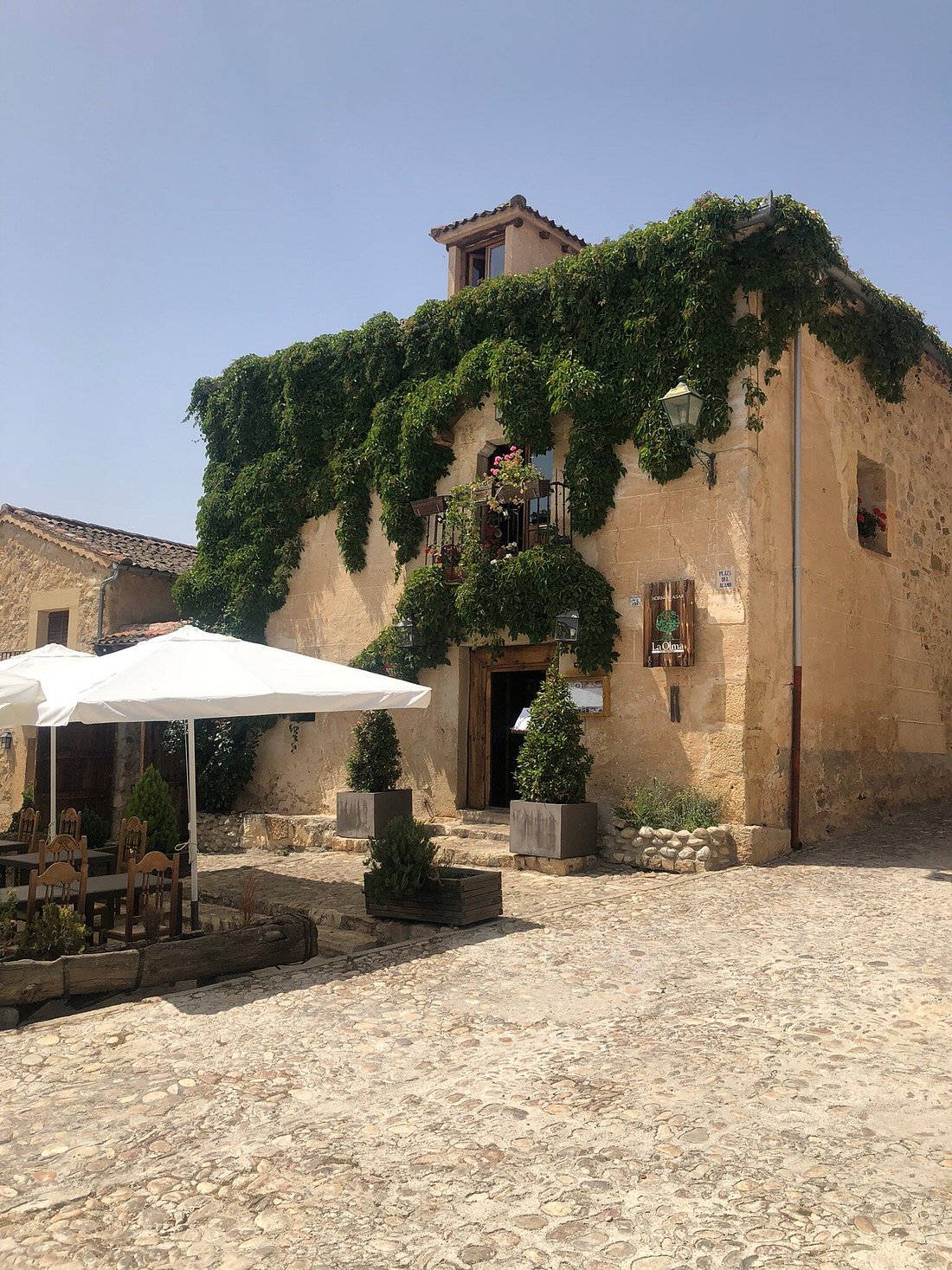 La Olma