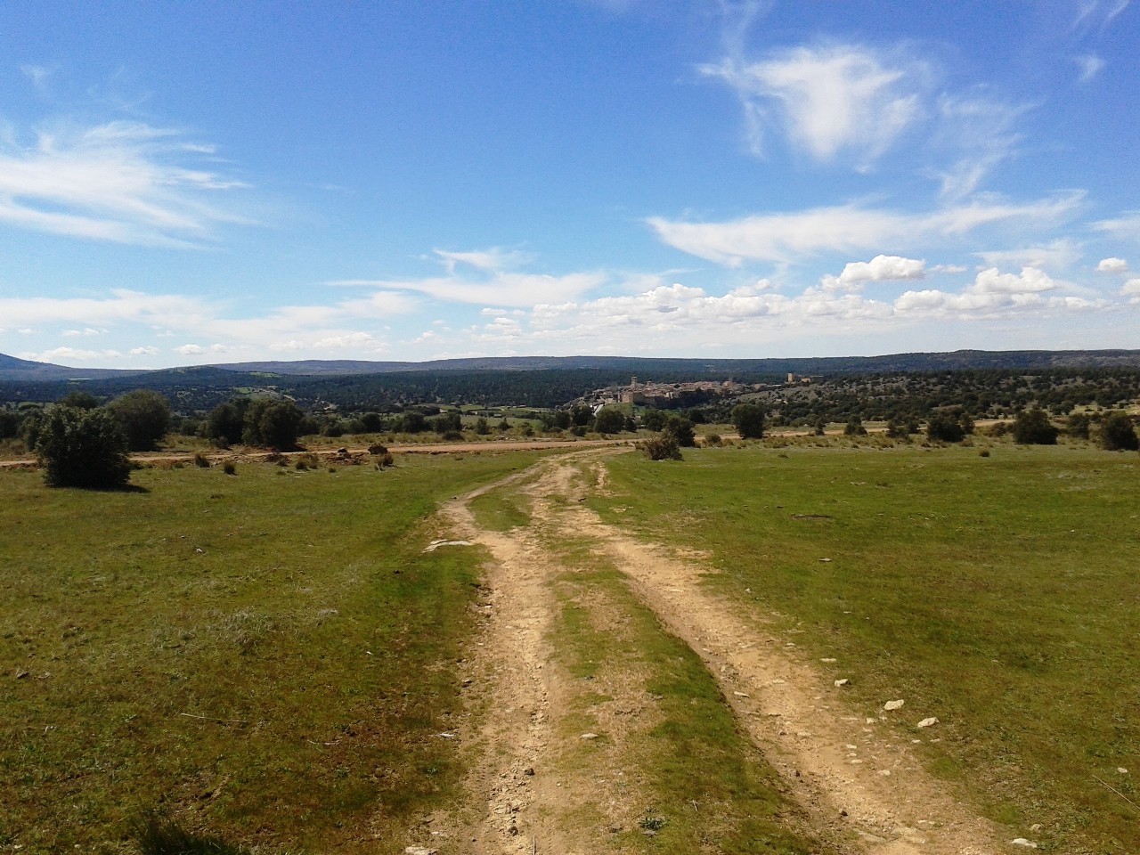 Monte común de Rades y Cañicosa