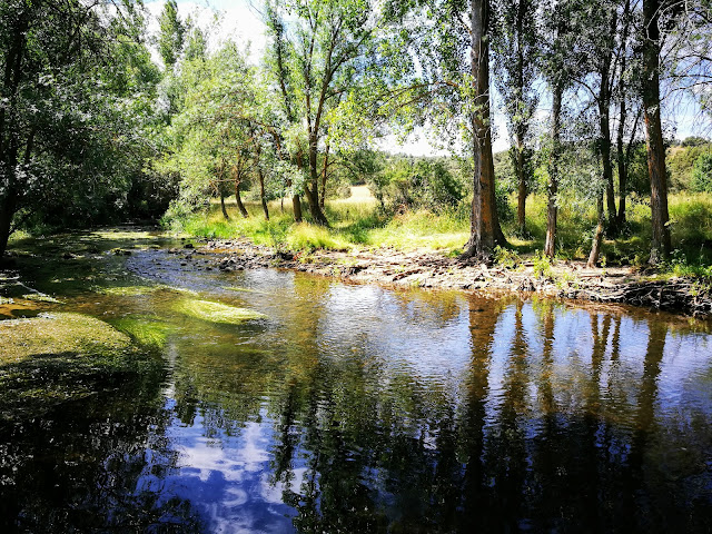 Río Cega