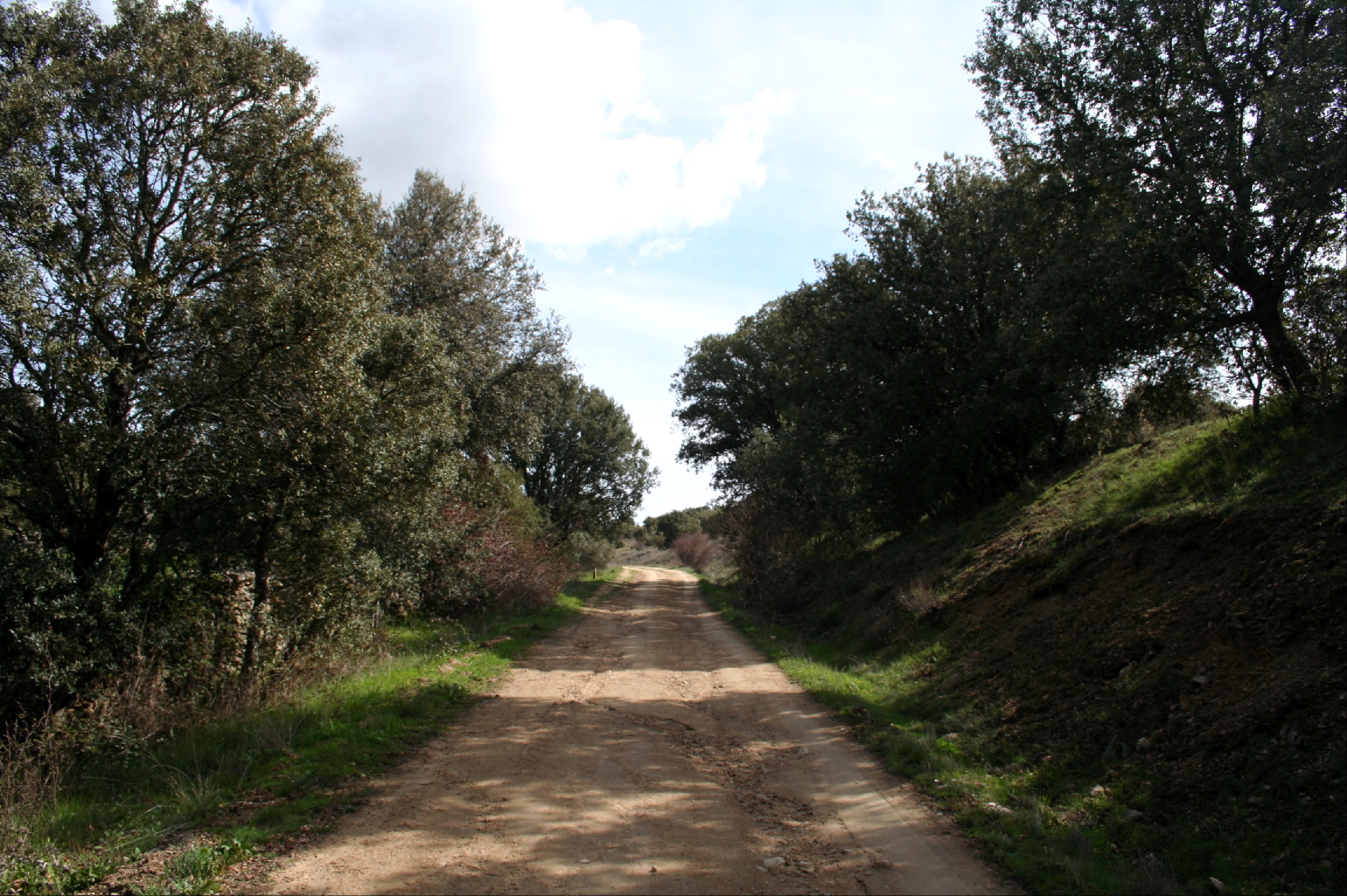 Senda de la Orejanilla 