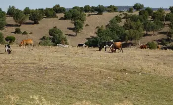 Un paisaje modelado por la sierra y la ganadería