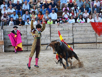 Fiestas y Tradiciones