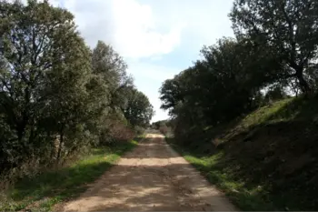 Rutas
